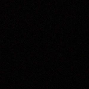 Meet your Posher, Riley